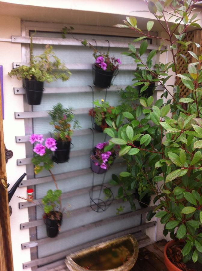 Apartment Garden Music بورتو المظهر الخارجي الصورة